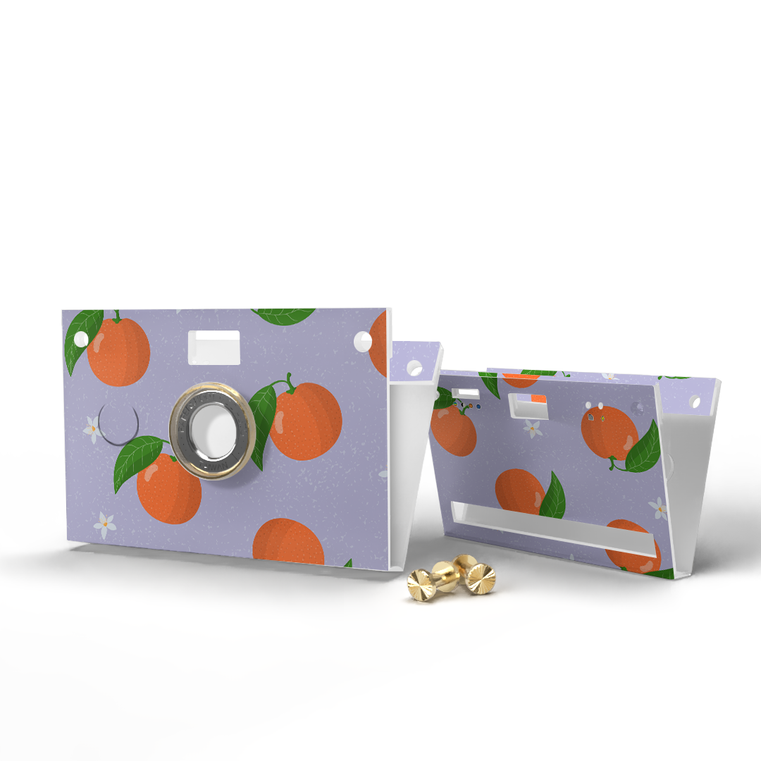 Paper Case - Summer Clementine